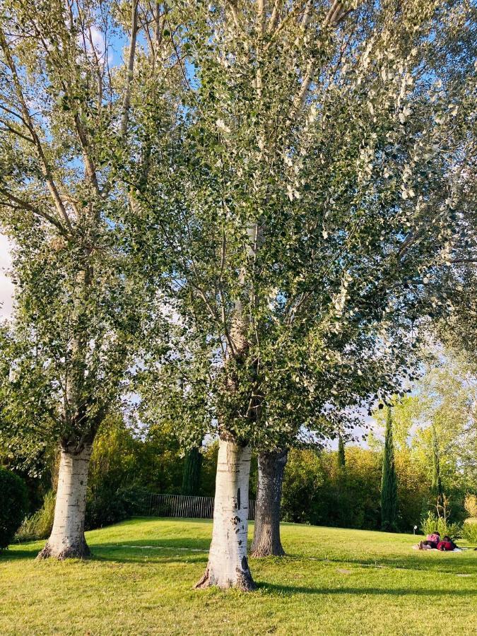 Podere La Chiusella * Rapolano Terme