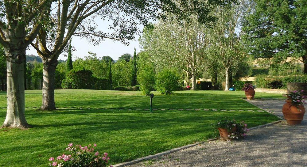 Podere La Chiusella * Rapolano Terme